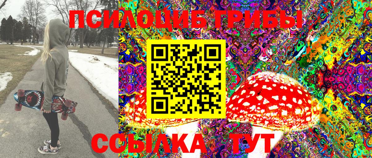 Псилоцибиновые грибы Psilocybe Сатка